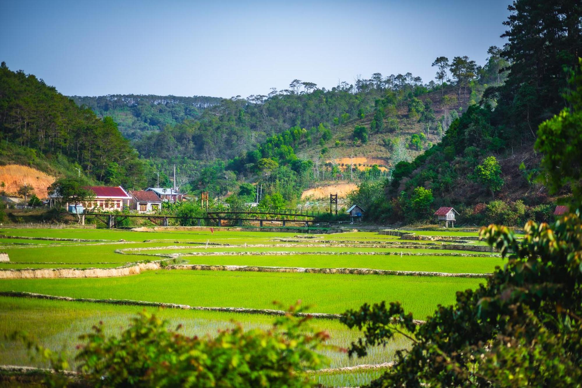 Nha Trong Ban - Homestay Mang Den Kon Von Kla Exterior foto